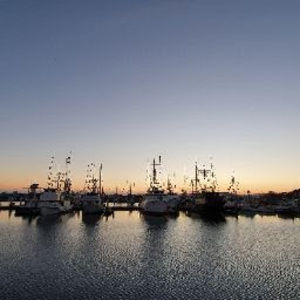 Meet your Posher, Ejha larasati